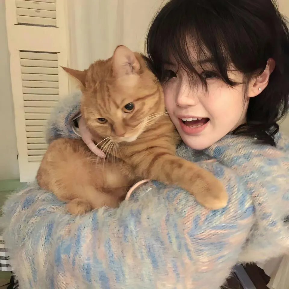 大哥大姐没出息第三季